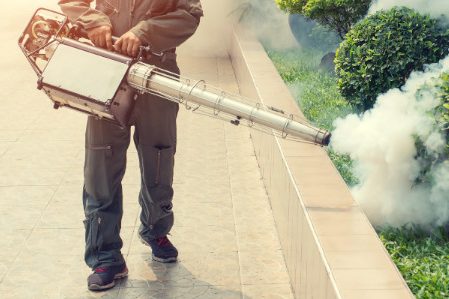 Por que contratar serviços de dedetização é essencial