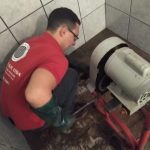 Por que contratar serviços de dedetização é essencial