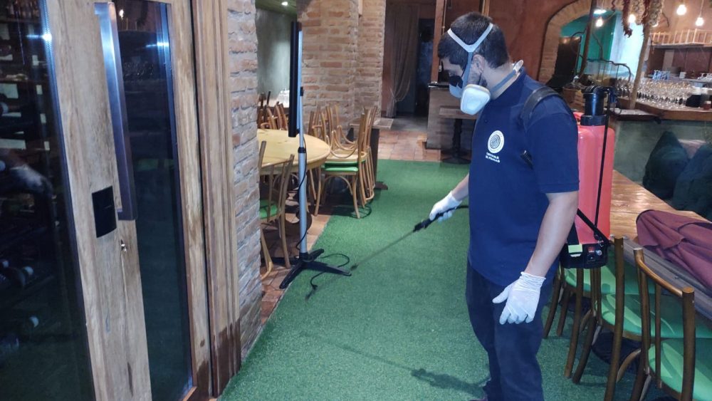 Descubra a Melhor Dedetizadora em São Paulo