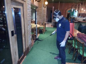 Descubra a Melhor Dedetizadora em São Paulo