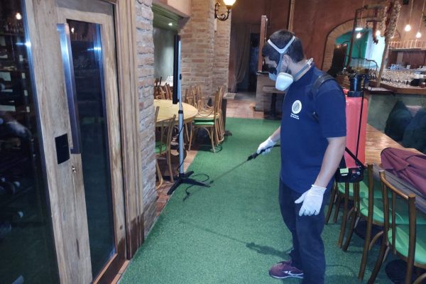 Descubra a Melhor Dedetizadora em São Paulo